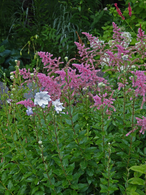 DSC06198