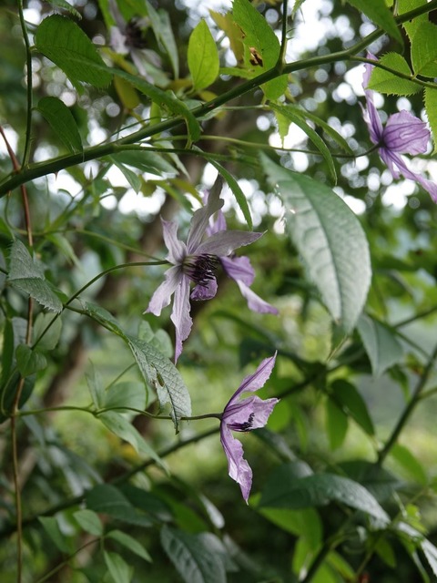 DSC07307