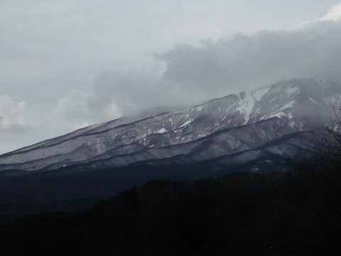 DSC05503