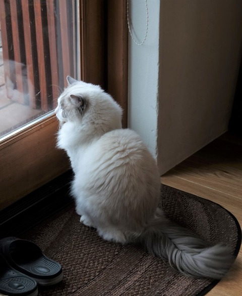 DSC03257