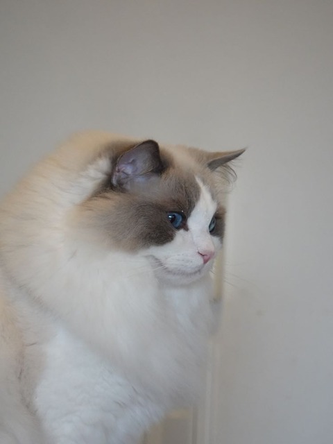 DSC04930