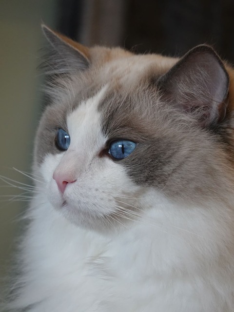 DSC07953