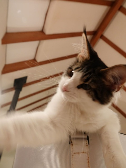DSC04394