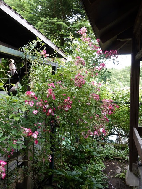 DSC03882モーツァルト