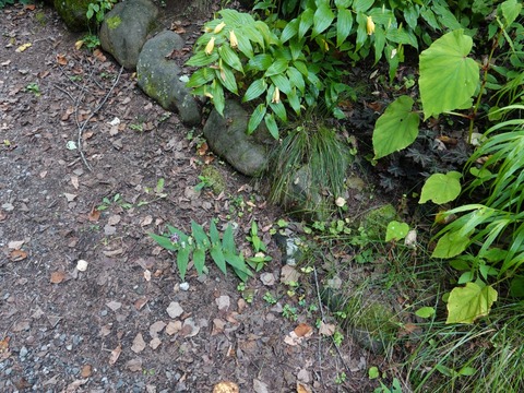 DSC09922