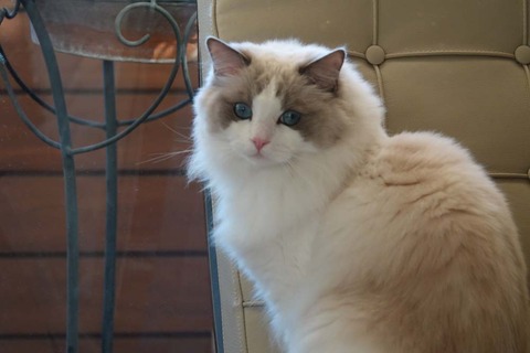 DSC01399