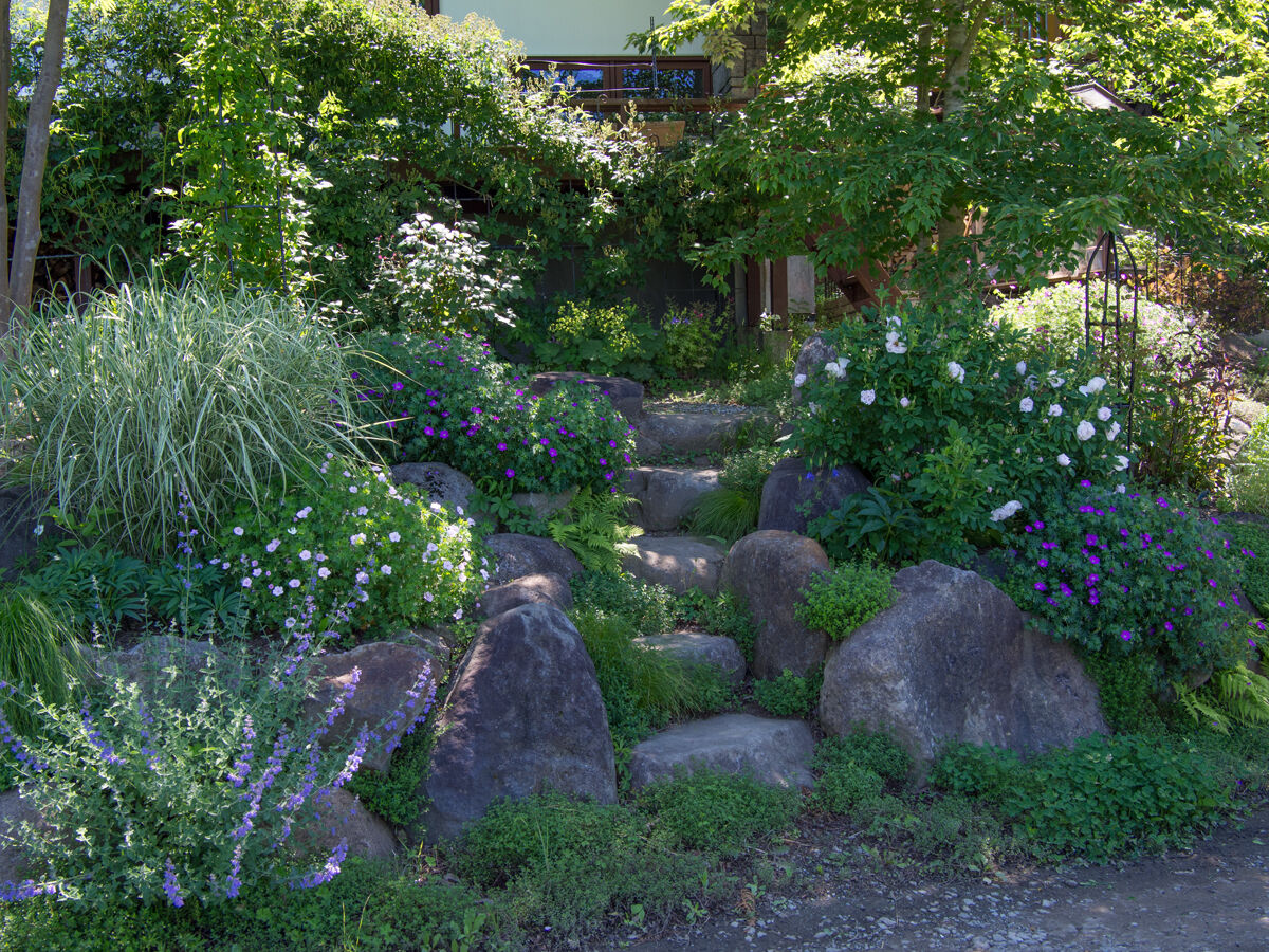 庭の様子 ベルと高原の家