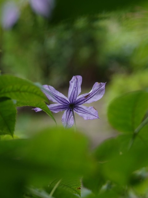 DSC07314