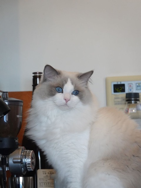 DSC06020