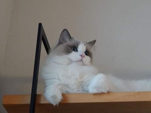 DSC05000