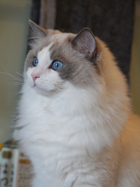 DSC07951