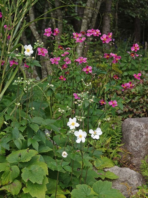 DSC00001