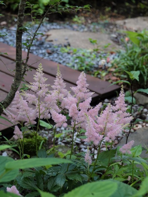 DSC04351