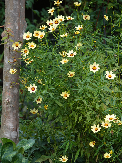 DSC02700