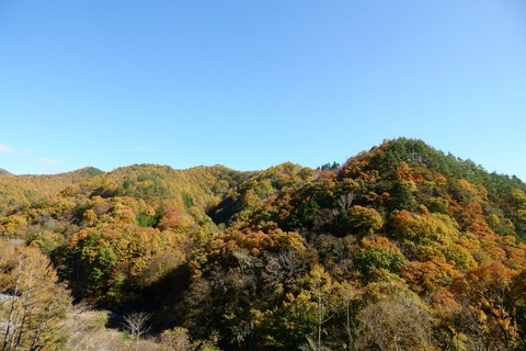 DSC04481