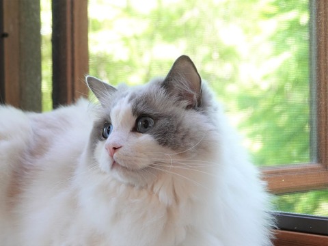 DSC01540