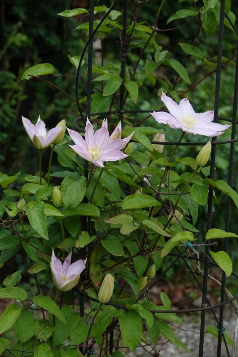 DSC01658