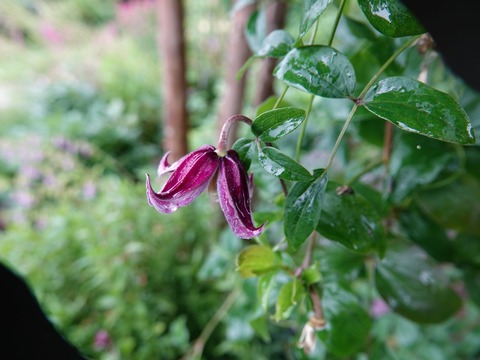 DSC05713
