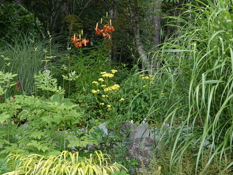 DSC07284