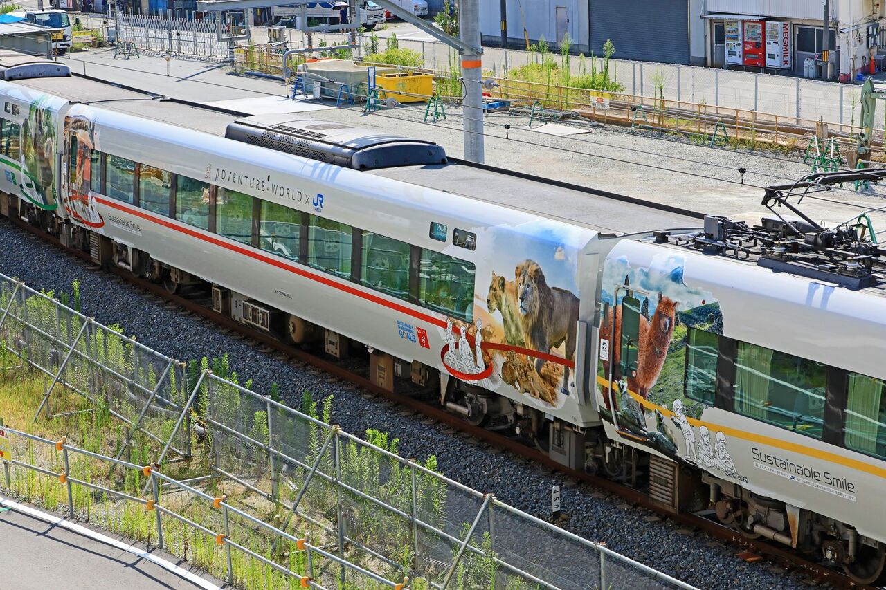 JR西日本 287系HC604 「パンダくろしお（サステナブルSmile