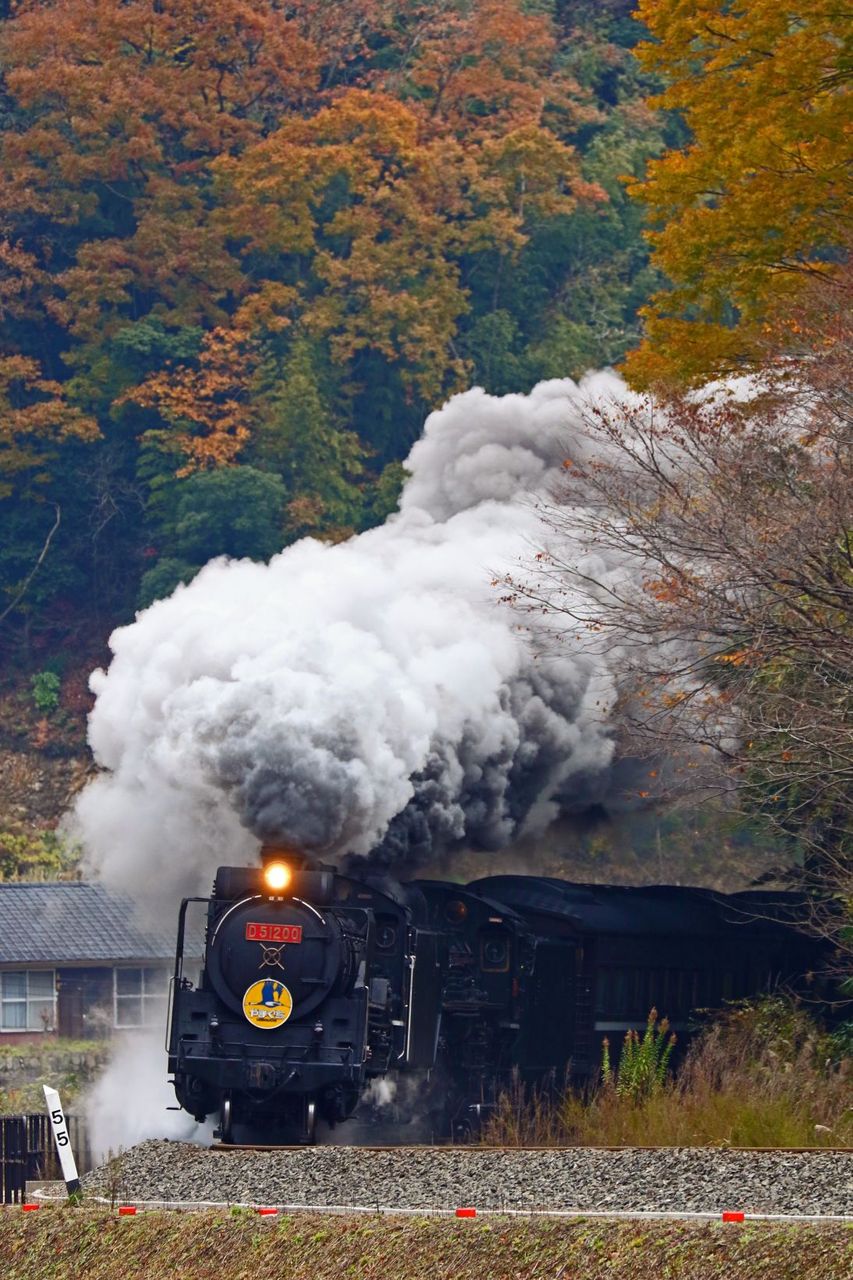 ＪＲ西日本　Ｄ５１-２００＋Ｃ５７-１号機重連牽引２０１７年ＳＬ「やまぐち」号３５系新型客車　その３