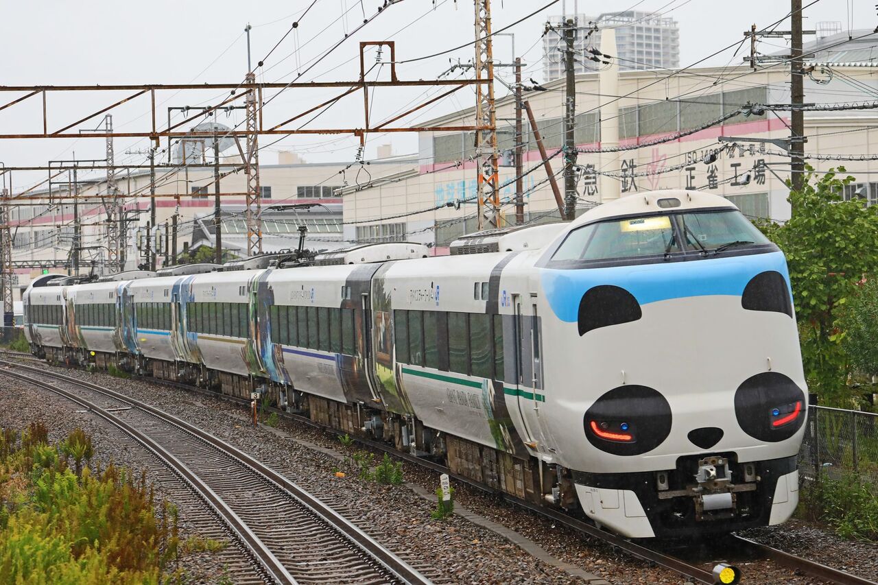 パンダさま専用 パンダさま専用