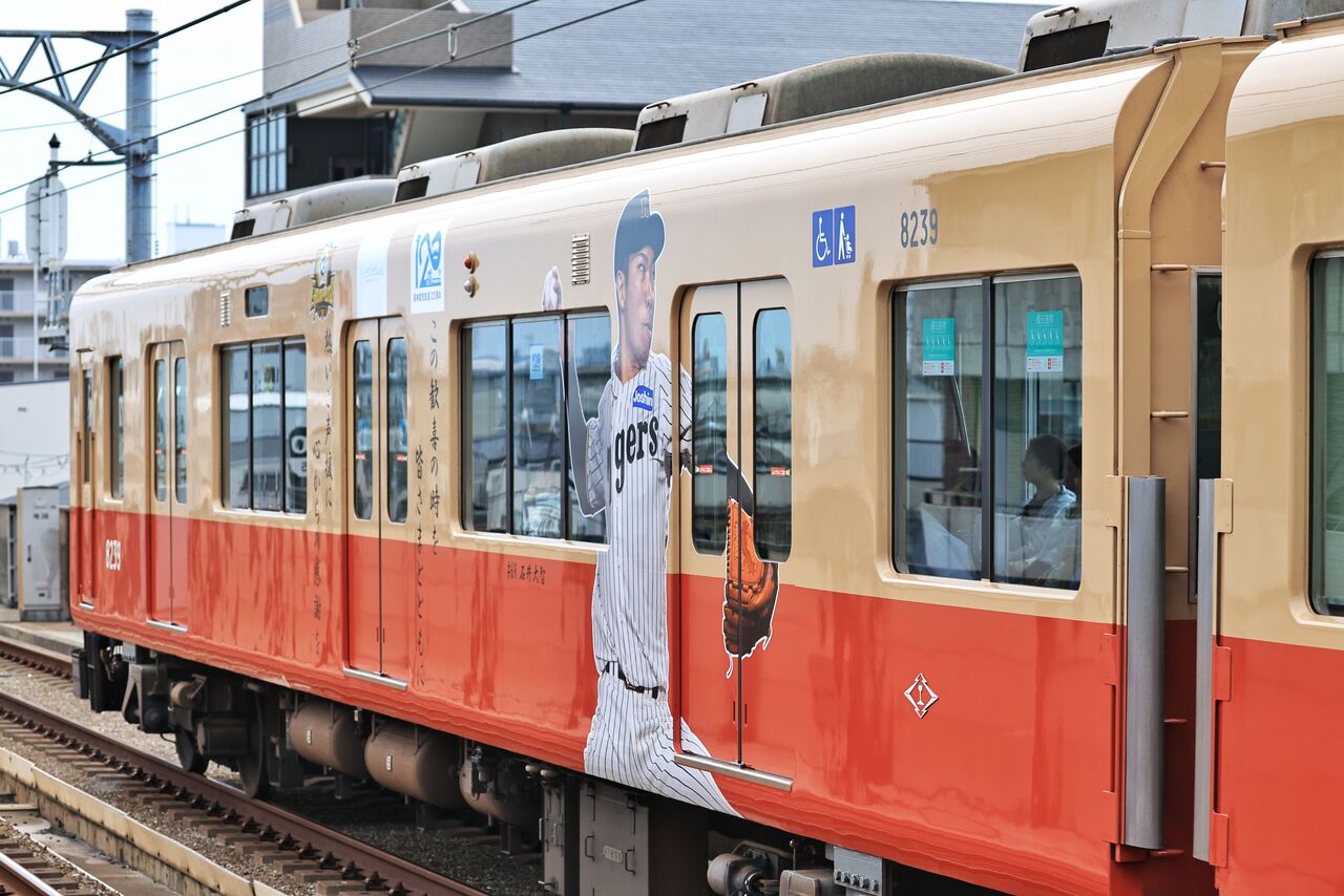 阪神電気鉄道 8000系8239F 復活赤胴車「阪神タイガース