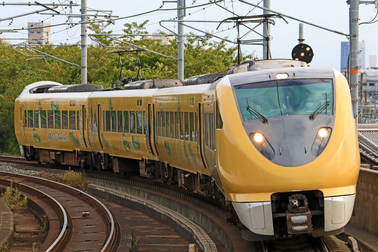 あられだ Amazon.co.jp: [アルベ] 白衣(八分袖)[兼用] 男女兼用 八分袖 襟