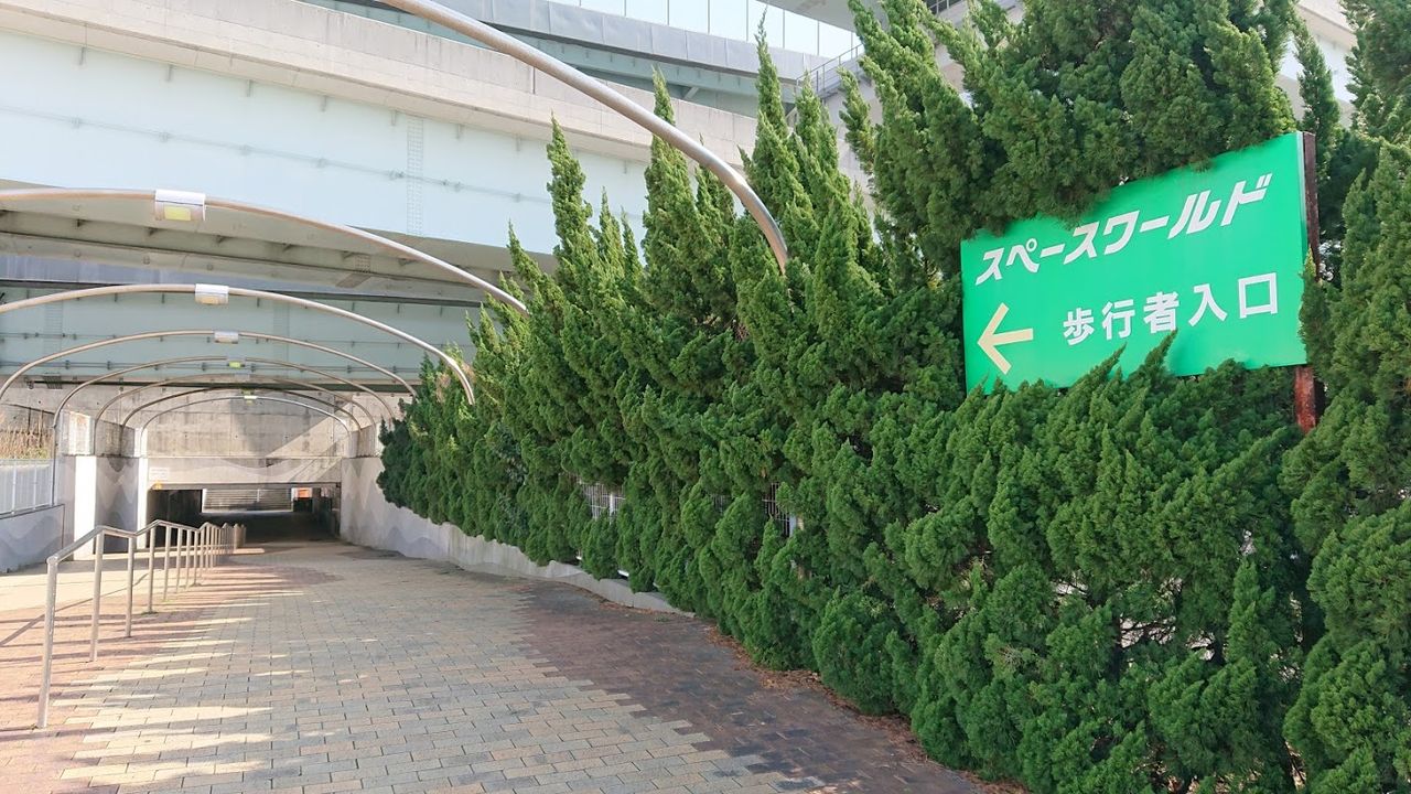イメージ 4