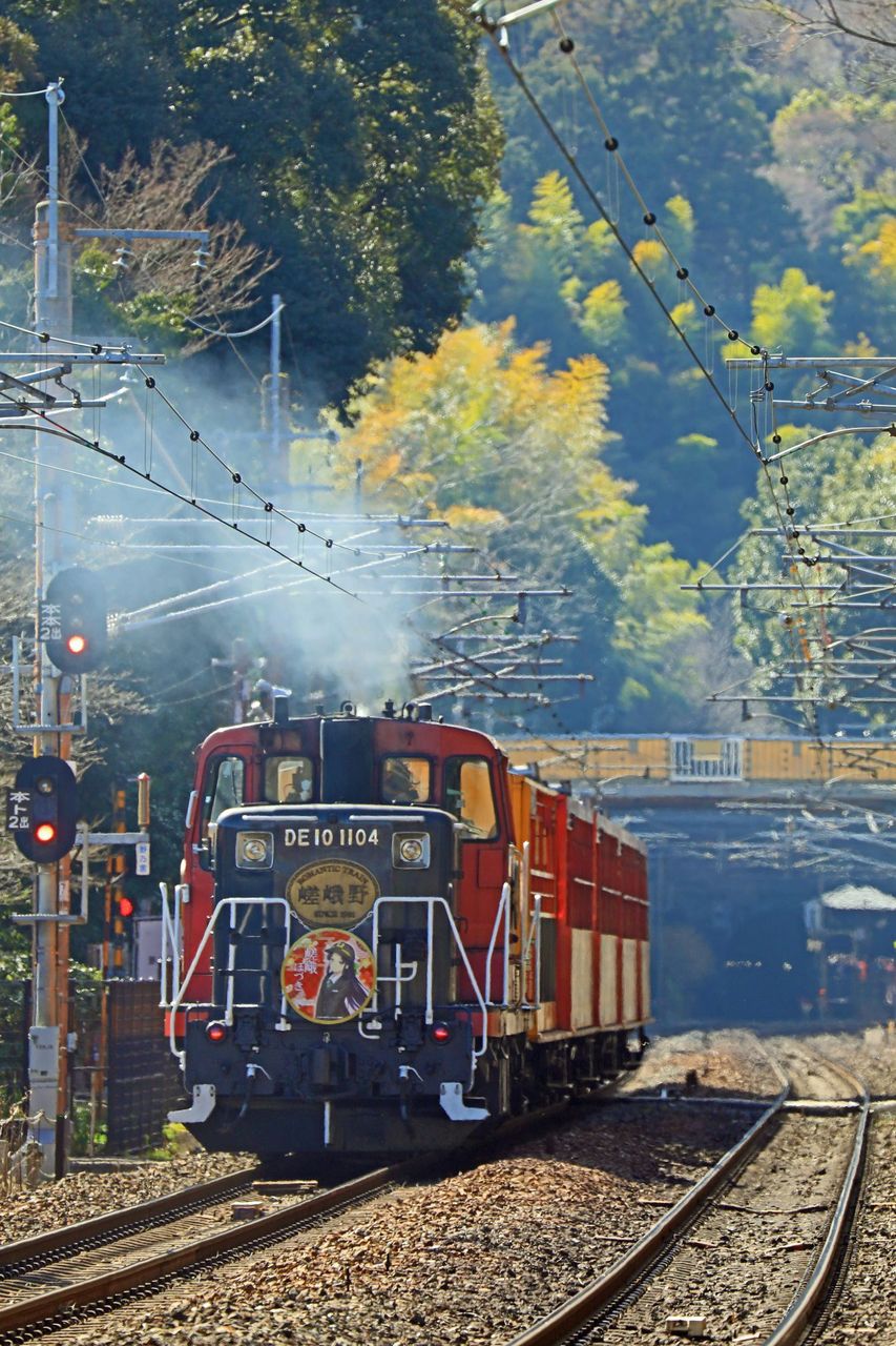 【鉄道部品】嵯峨野観光鉄道 区名札セット d1123fd1-s.jpg