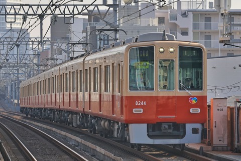 7c675136-s.jpg