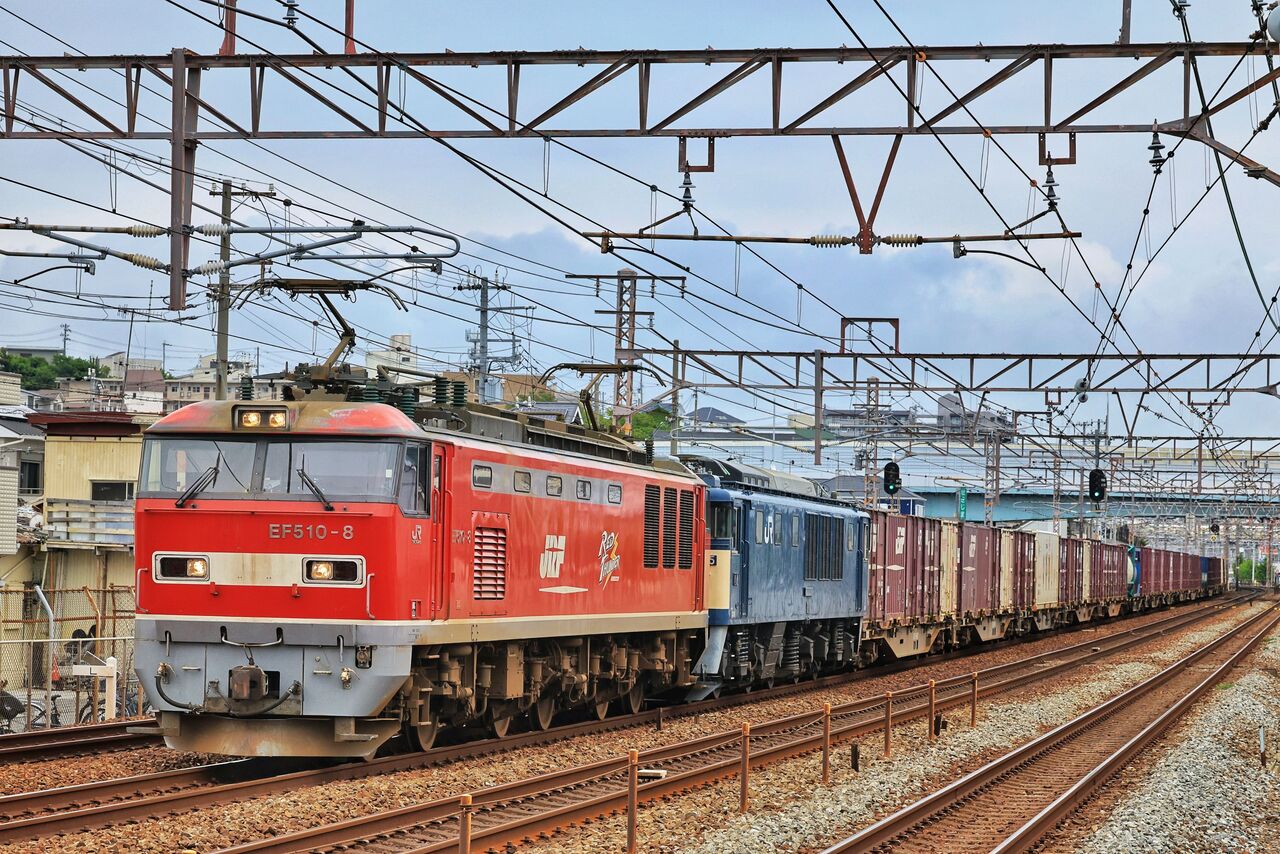 93576 JR EF64o形(77号機・JR貨物更新車) ブランド 品 通販