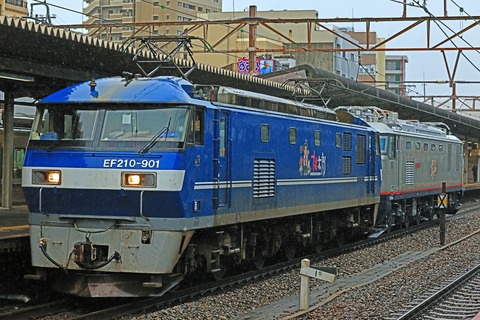 ＪＲ貨物　ＥＦ５１０-３０４号機　甲種輸送　ＥＦ２１０-９０１号機牽引＠西明石