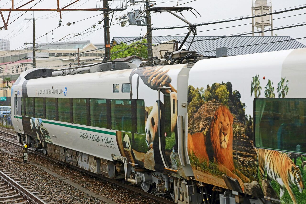 JR西日本 287系HC605 「パンダくろしお（Smile