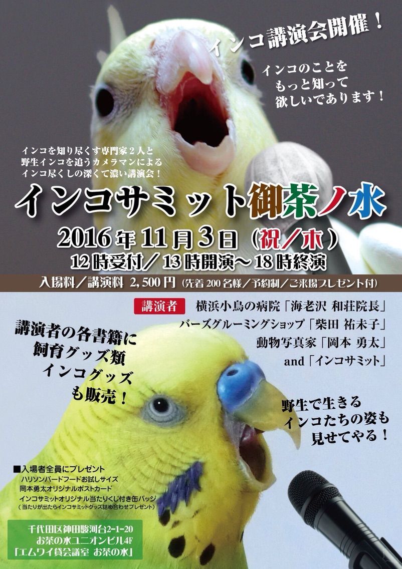 インコサミットin御茶ノ水 海空 noah の空