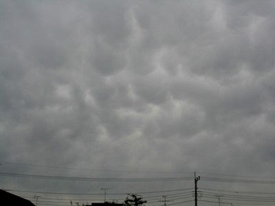 舐めるなかれ てつやの徒然日記 舐めるなかれ てつやの徒然日記