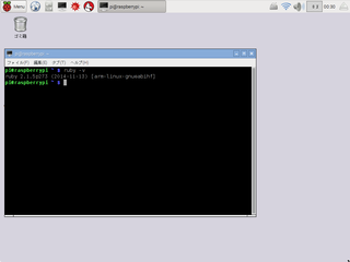 raspi_ruby