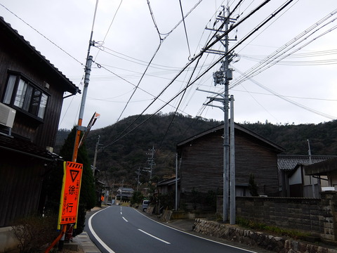 写真6