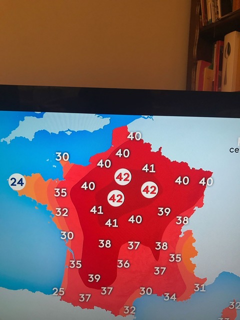 canicule4