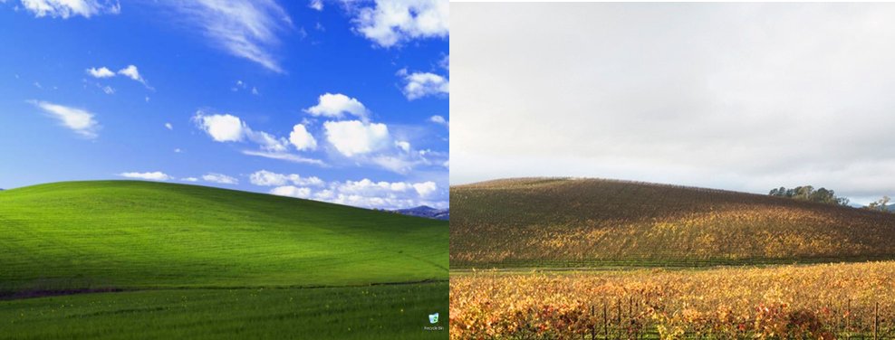 Windows Xp 壁紙の 草原 ソノマバレーが大変なことになっている