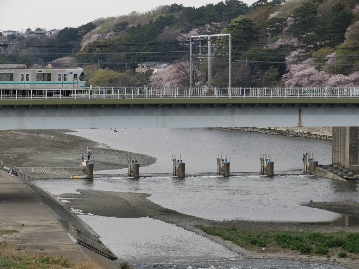 調布取水堰 カヤックで遊びましょ 調布取水堰 カヤックで遊びましょ
