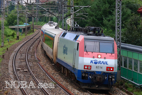 230812-IMG_5300t