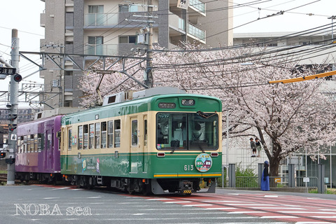 260329-IMG_4038t