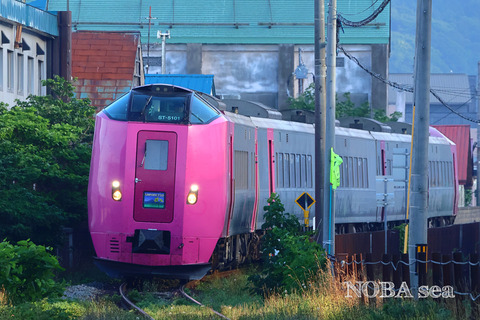 250722-IMG_4897t