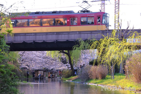250404-IMG_6977t