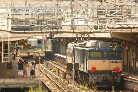 230819-08-IMG_8118t