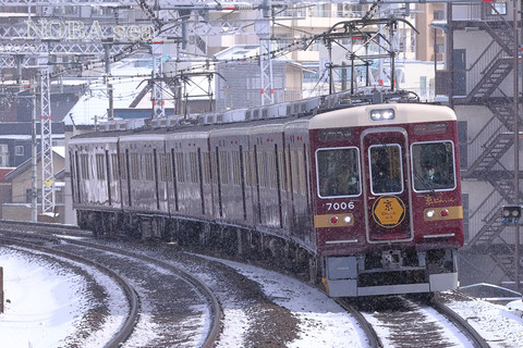 250208-50IMG_4966t