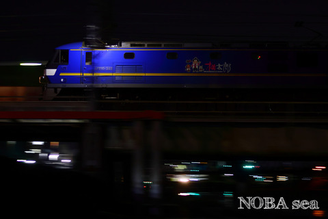 250124-IMG_3653t EF210