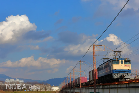 250120-02IMG_2386t