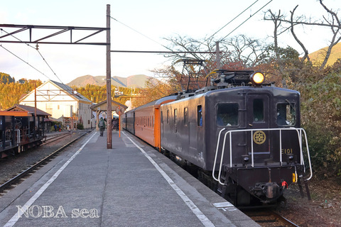 241201-IMG_3955t